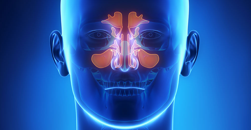Respiratory Medicine | Specialities & Treatments at Parkside Suite Frimley