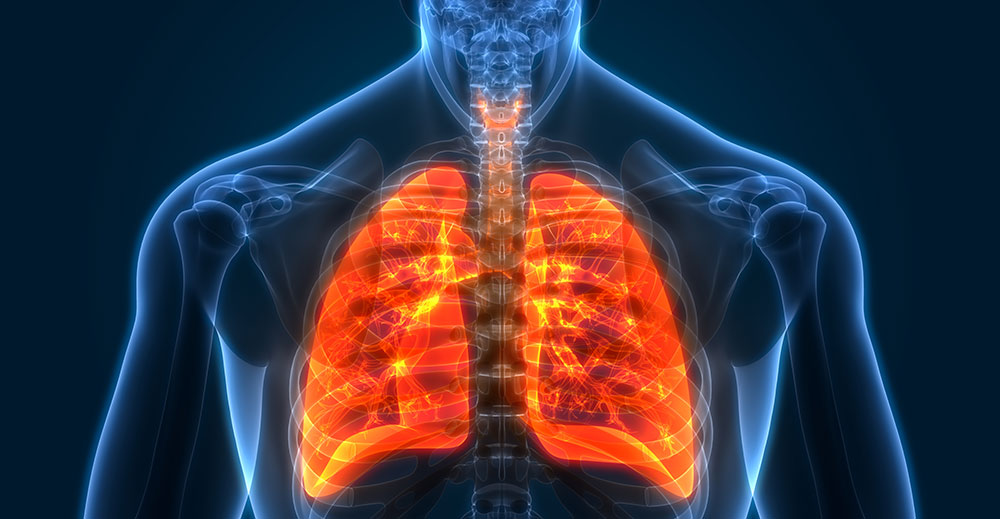 Thoracic Medicine | Specialities & Treatments at Parkside Suite Frimley